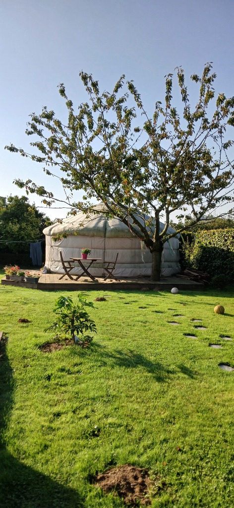 photo cabinet MELANIE LAVENU