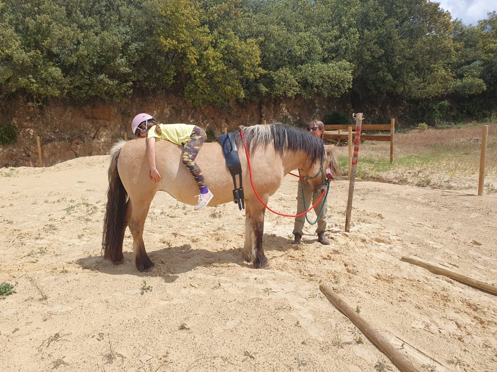 photo seance Natur’Équithérapie 