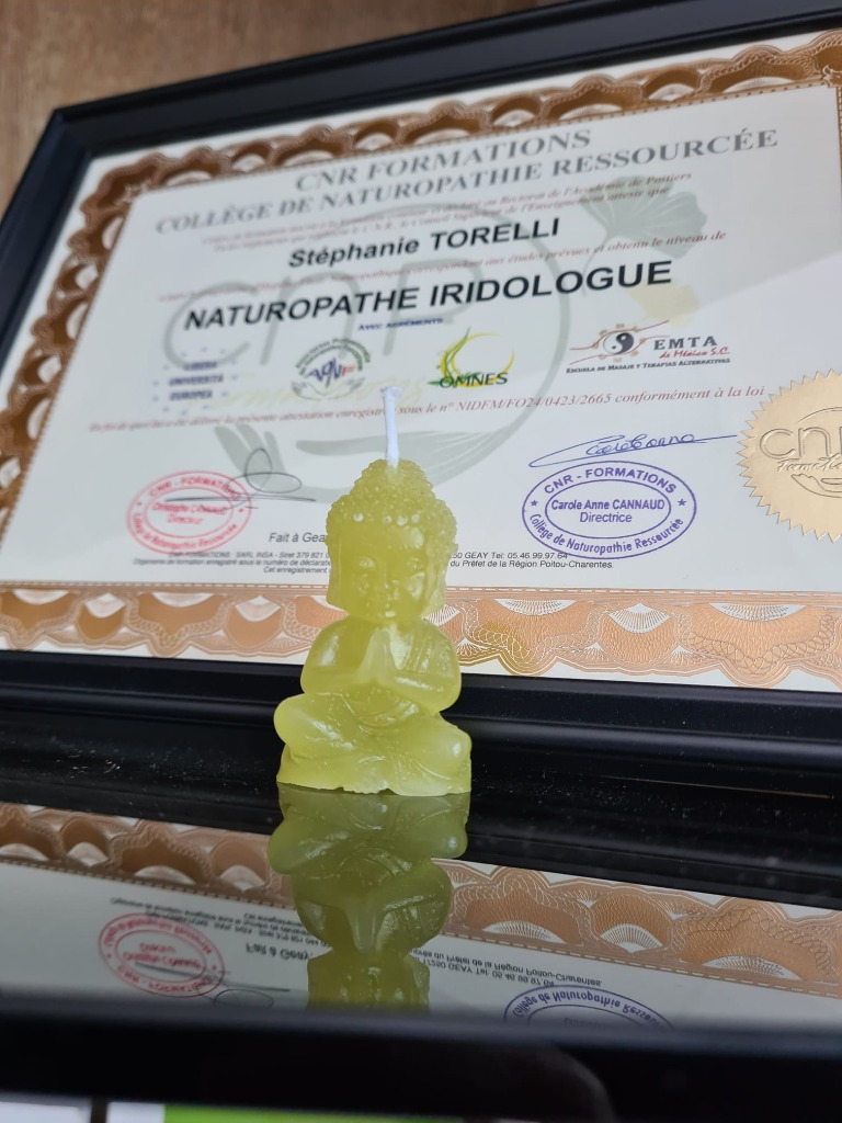 photo diplome Stéphanie TORELLI