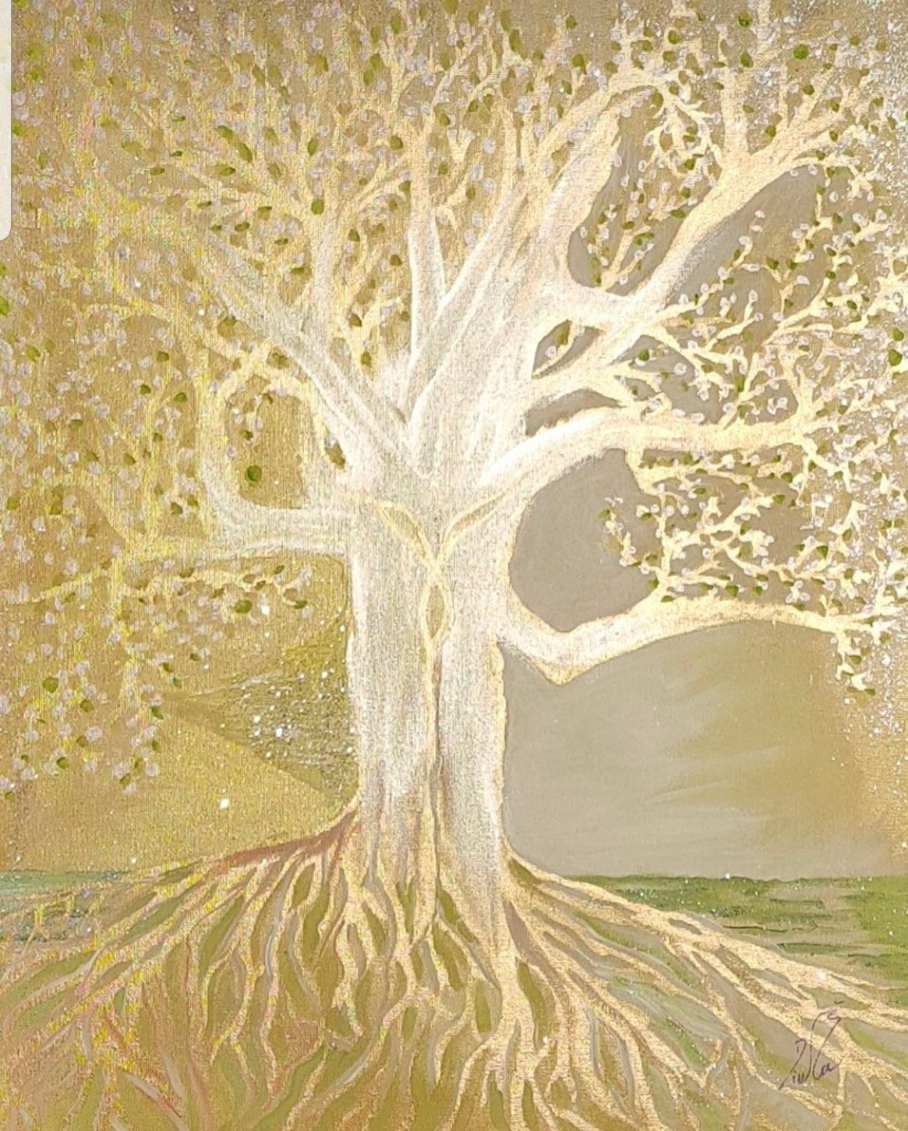 photo cabinet Diwéra Devienne