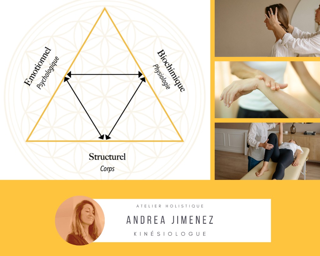 photo cabinet Andréa Jimenez