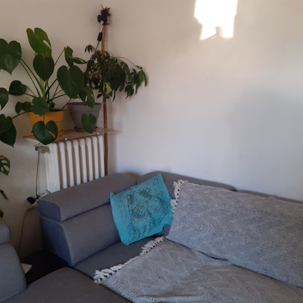 photo cabinet Mélissa VALLIN