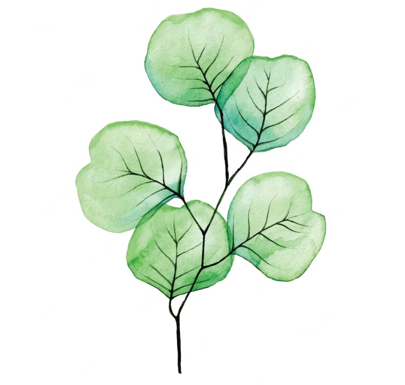 photo seance Isabelle Silvestre