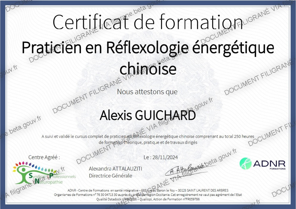 photo diplome Alexis GUICHARD reflexoMTC