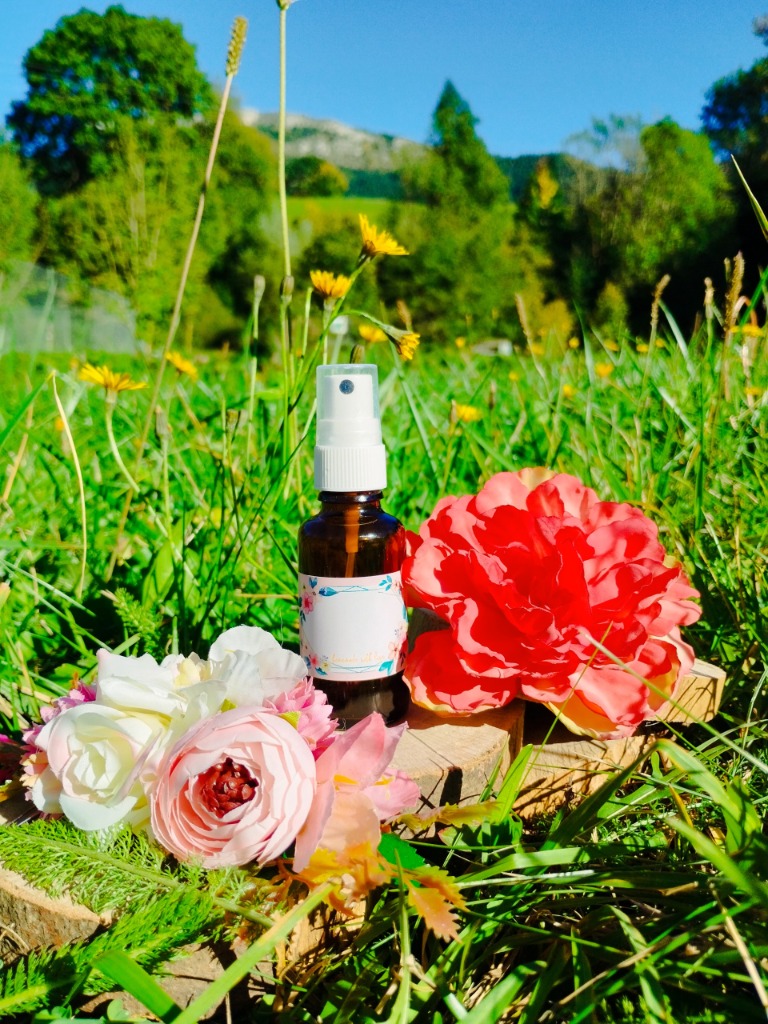 photo activite Laurence Noyer - Libre d’Etre Soi -