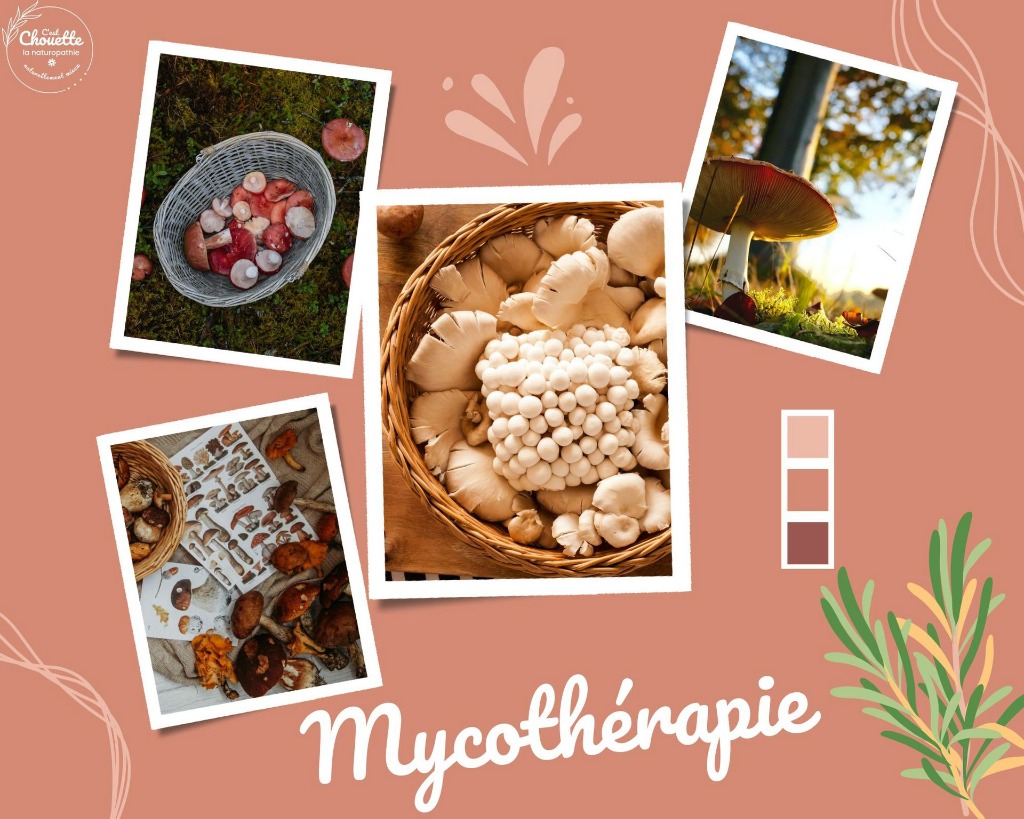 photo activite Chouette naturopathie - Corinne Duval