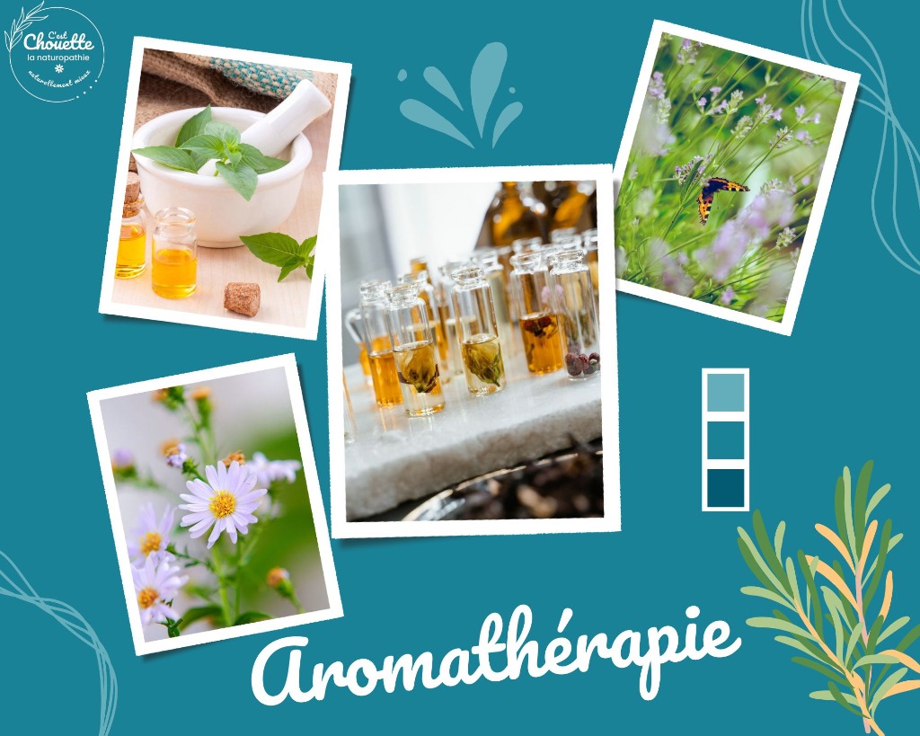 photo seance Chouette naturopathie - Corinne Duval