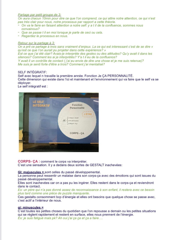 photo activite EZRATTI Gwenaëlle de Pépite de Gestalt