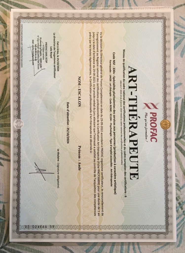 photo diplome Aude Barroso