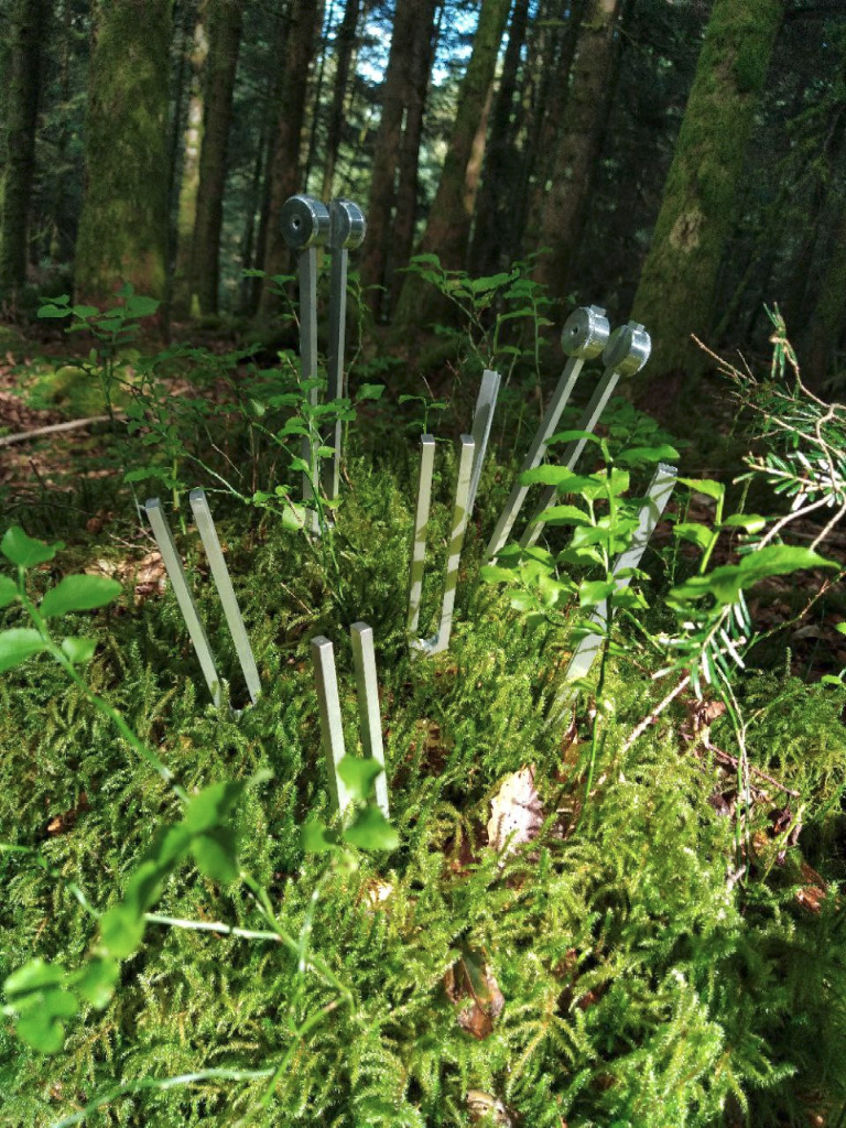 photo seance Omkara Sonothérapie - Nicolas Ferry - Bourges (18)