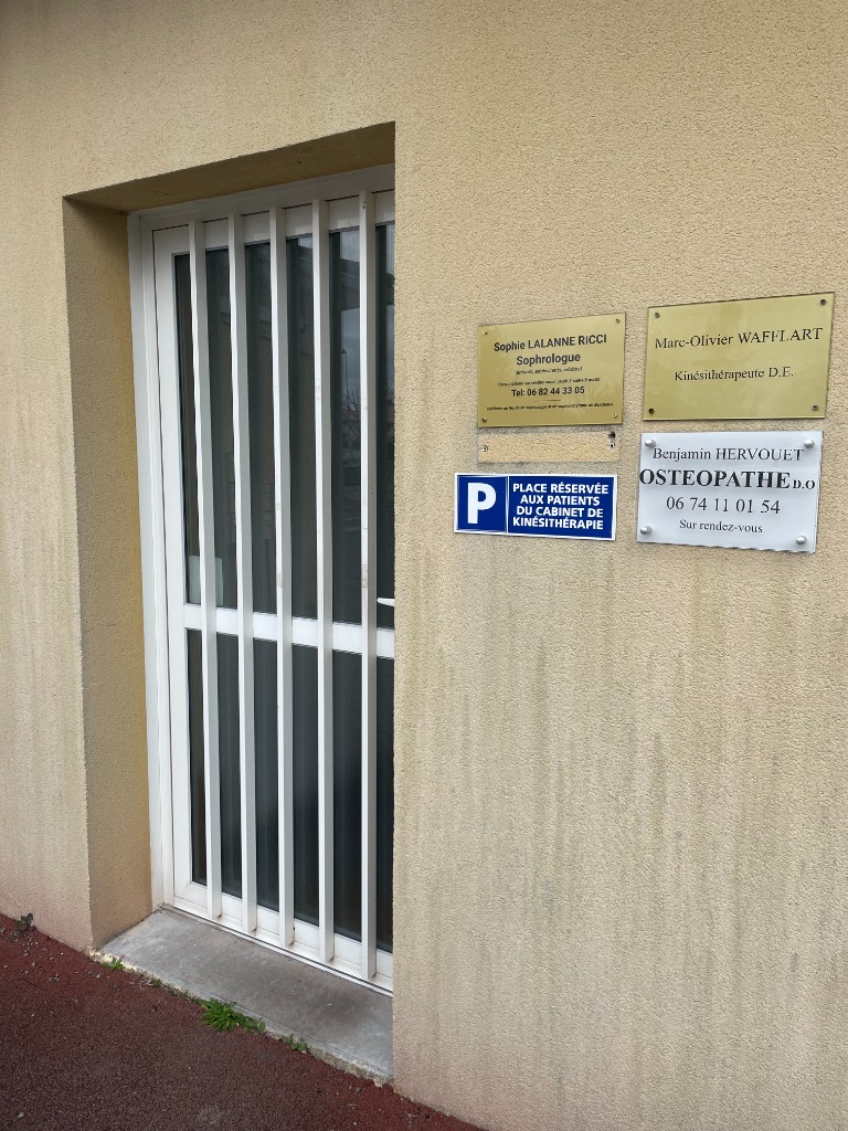 photo activite Sophie Lalanne Ricci