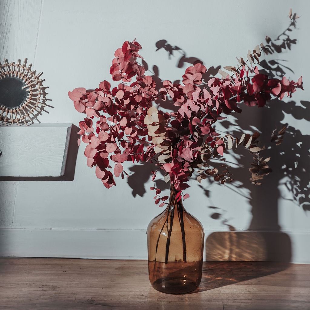 photo cabinet Claire Cely