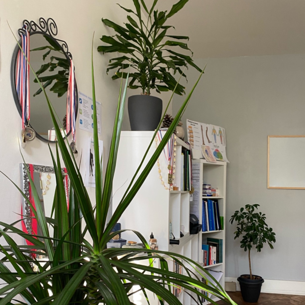 photo cabinet Dorian Bertrand Ostéopathe Biomécanicien