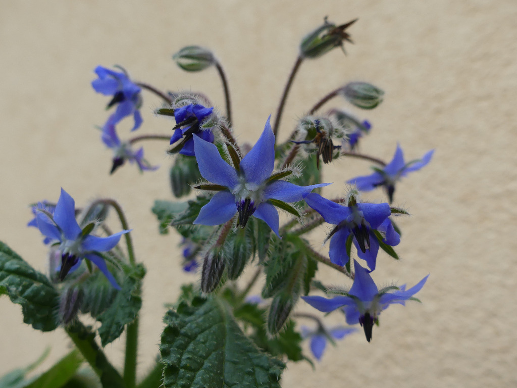 photo activite Céline Grevillot