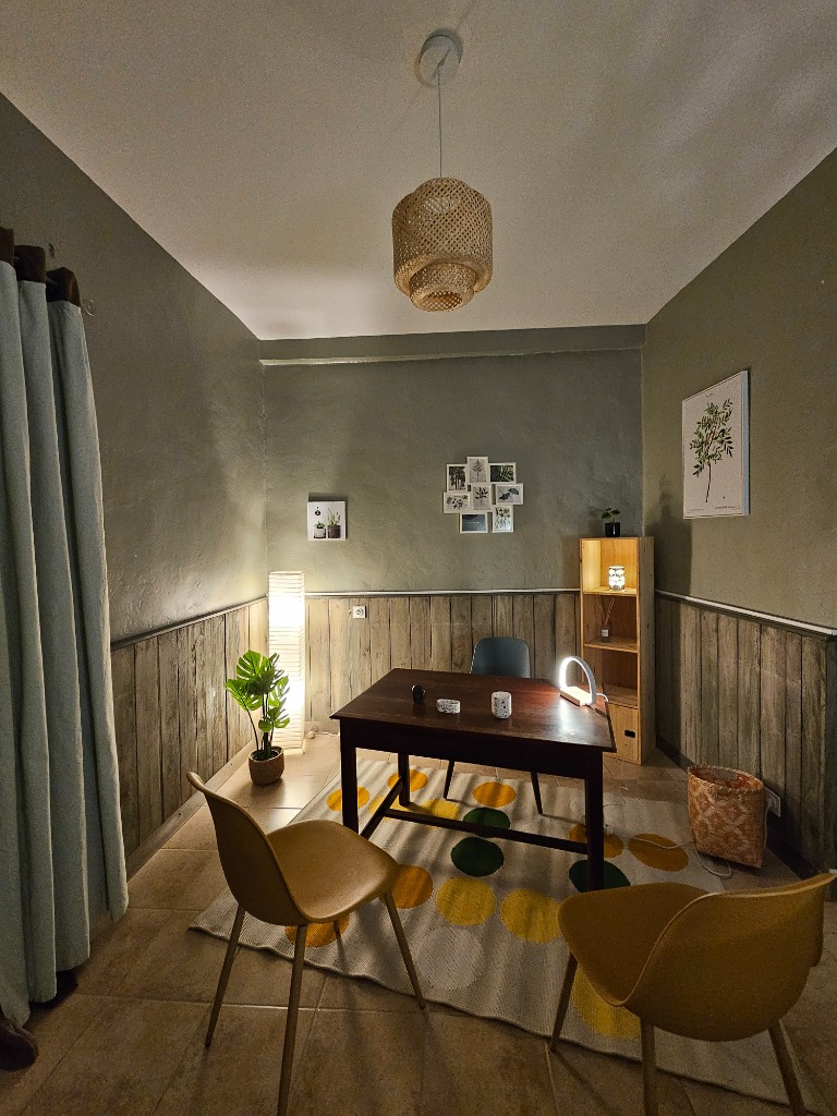 photo cabinet Anne LAUDO 