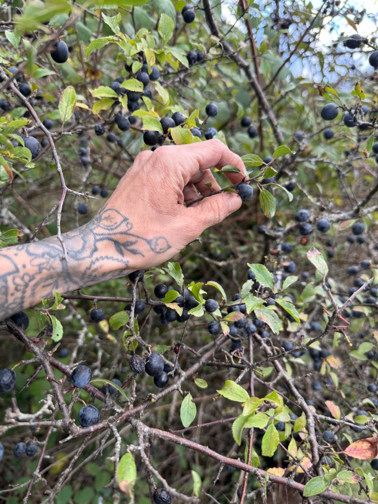 photo activite Arasa Coralie