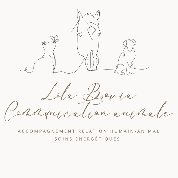 Lola Brovia Communication Animale