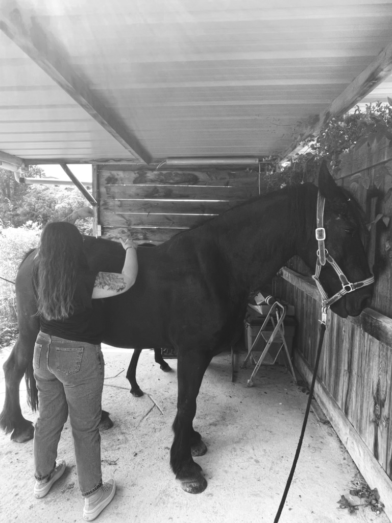 photo activite Lola Brovia Communication Animale