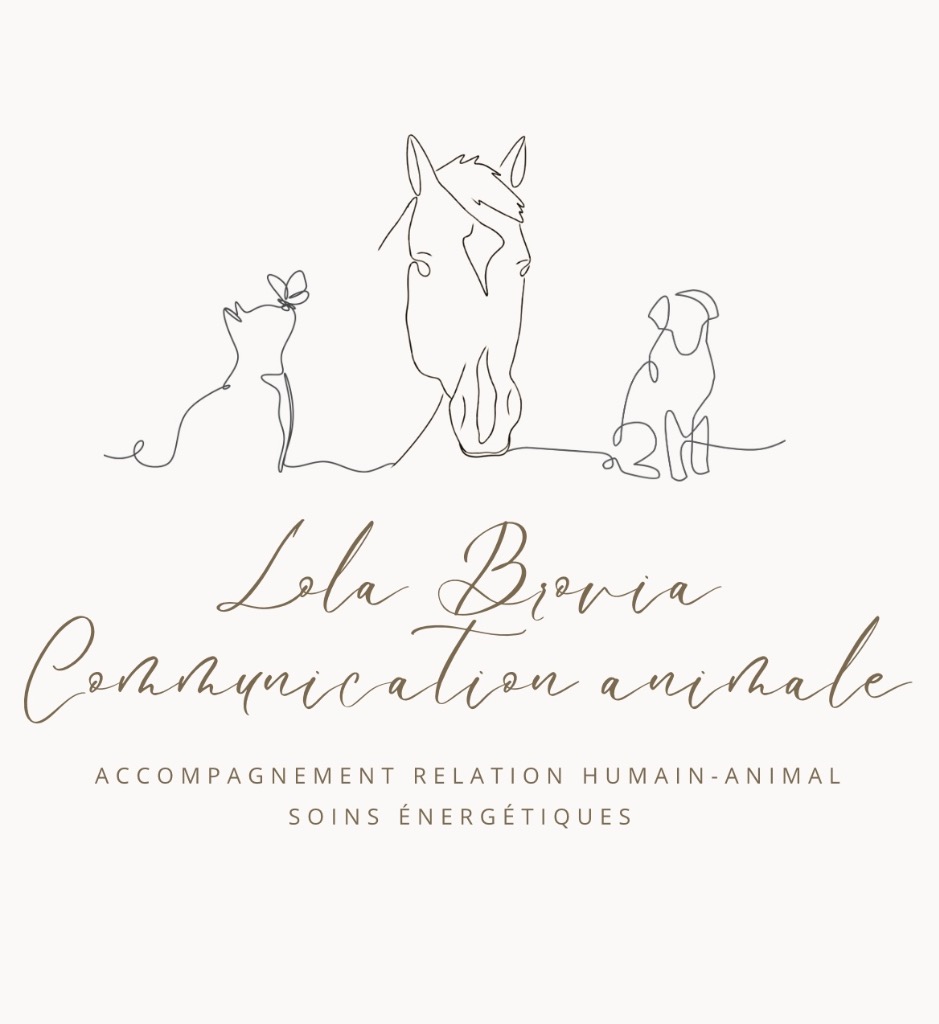 photo portrait Lola Brovia Communication Animale