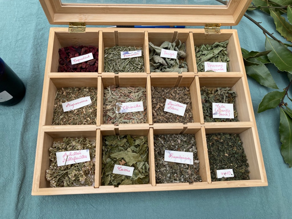 photo seance Pénélope Chaumet