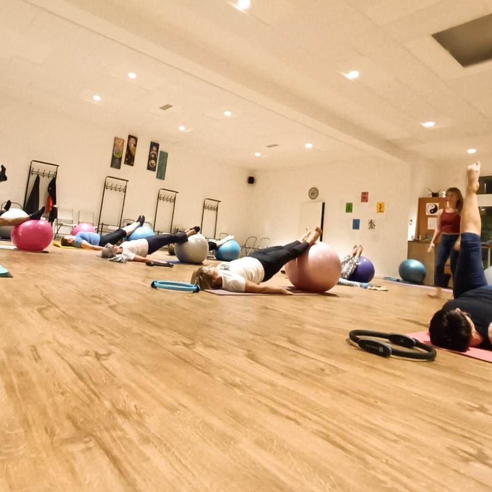 photo activite Adeline François