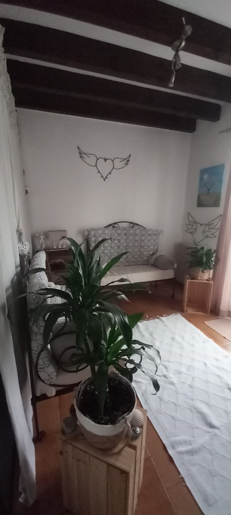 photo cabinet GARCIA Sylvia