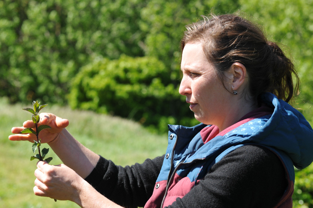 photo activite Florence Faure-Brac