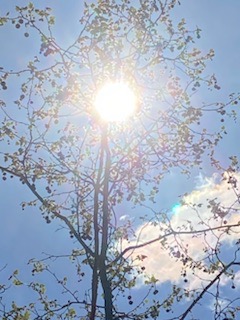 photo cabinet Vic Magnetiseur 