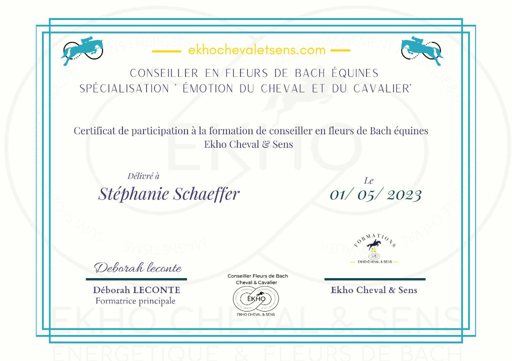 photo diplome Ei Schaeffer Stéphanie