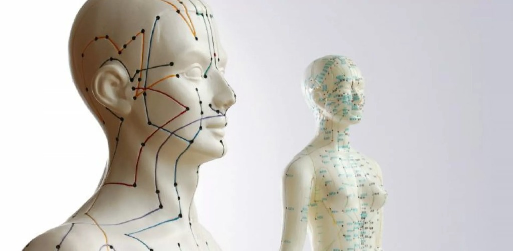 photo diplome Kinesiologue - Sarah Kerivel