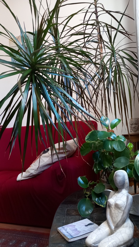 photo cabinet ISABELLE DECOGNIER