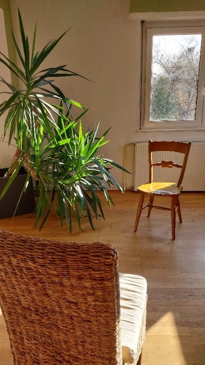 photo cabinet Stéphanie Poellen Rodrigue