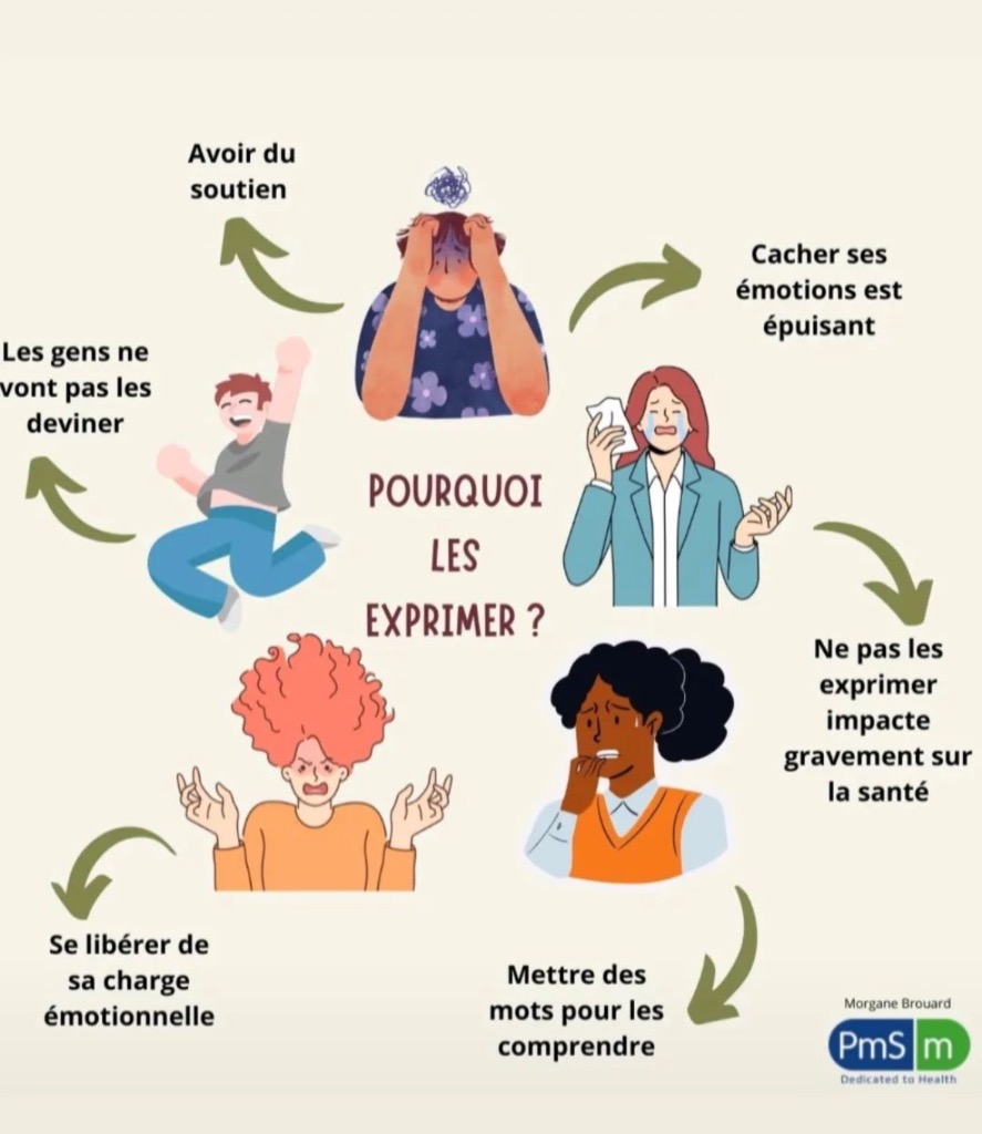 photo activite Enave Benharroch