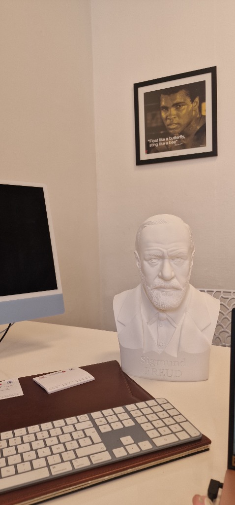 photo cabinet Fanny Poinsot