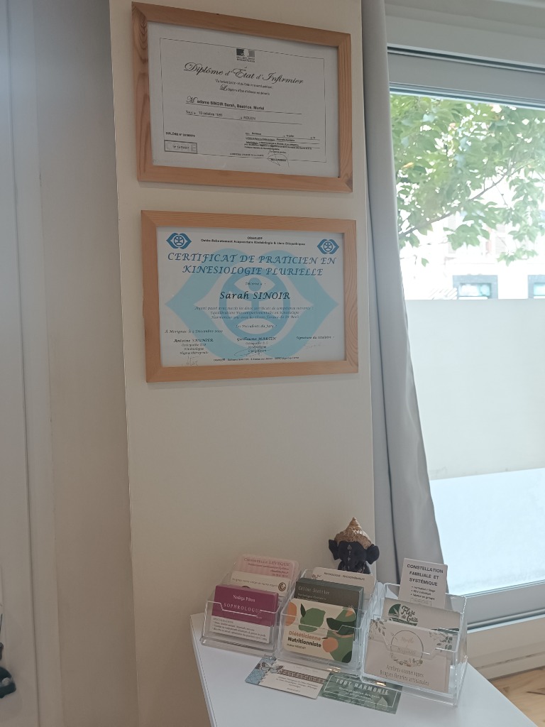 photo diplome Sarah Sinoir Kinésiologue 
