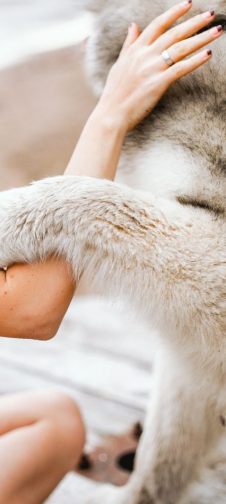 photo portrait Climent Stéphanie 