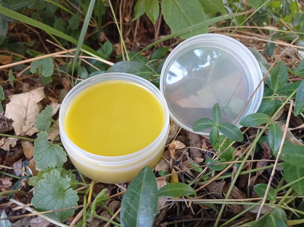 photo diplome Laetitia LANTENOIS