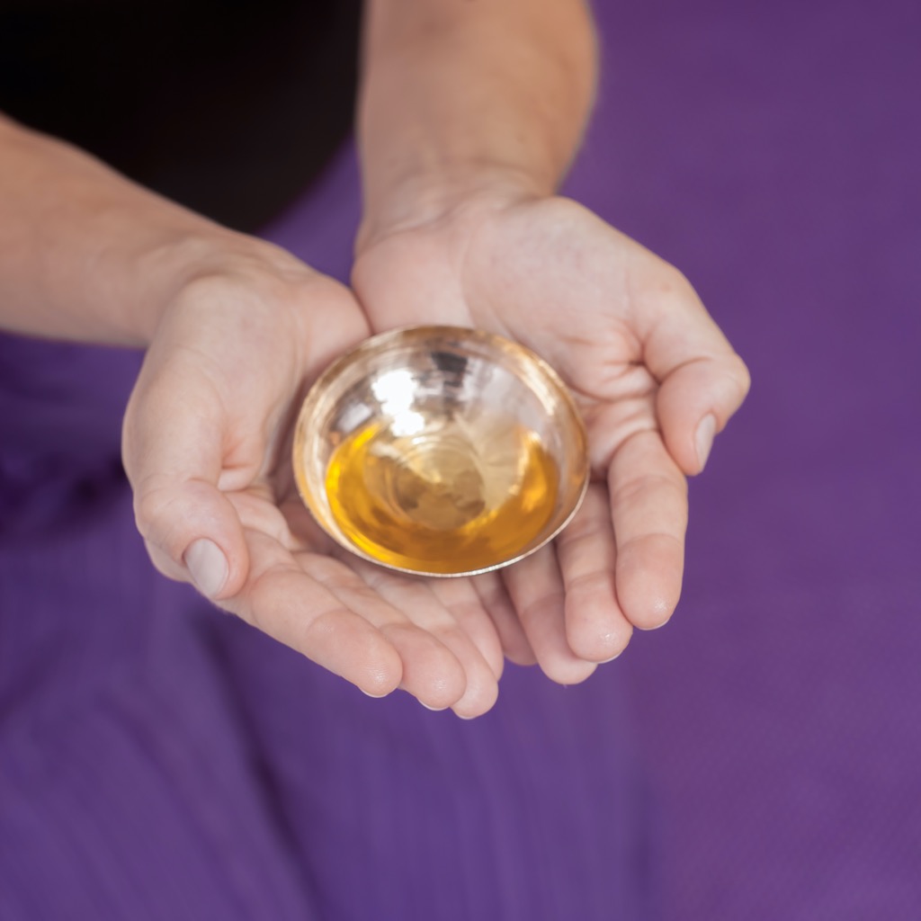 photo activite PONS Elsa