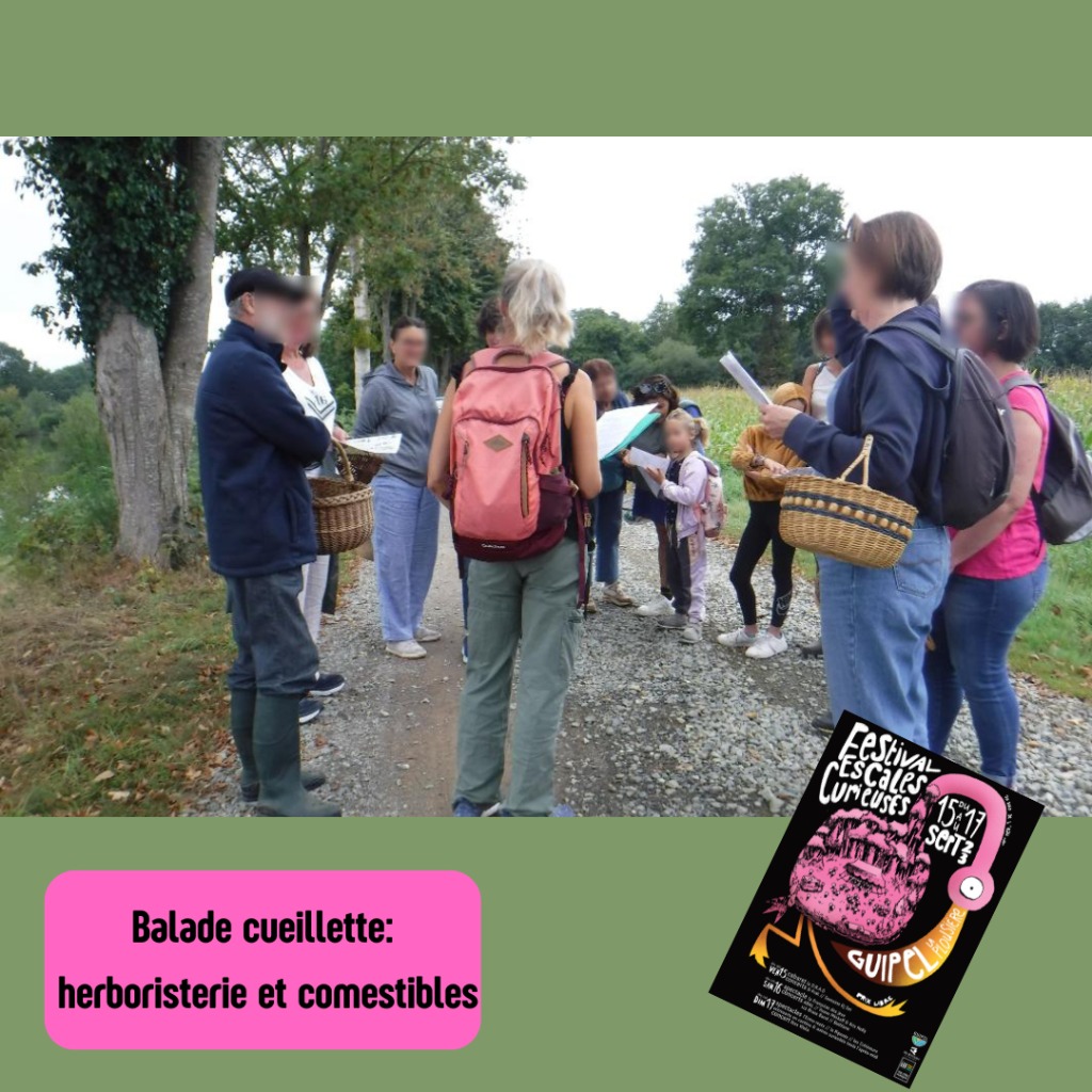 photo activite Solène Ryo