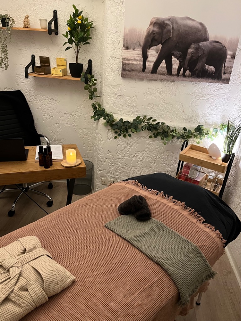 photo cabinet Lisa Périnat