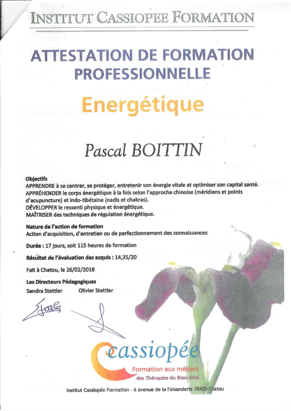 photo diplome Thérapeute Coach  Energéticien Holistique