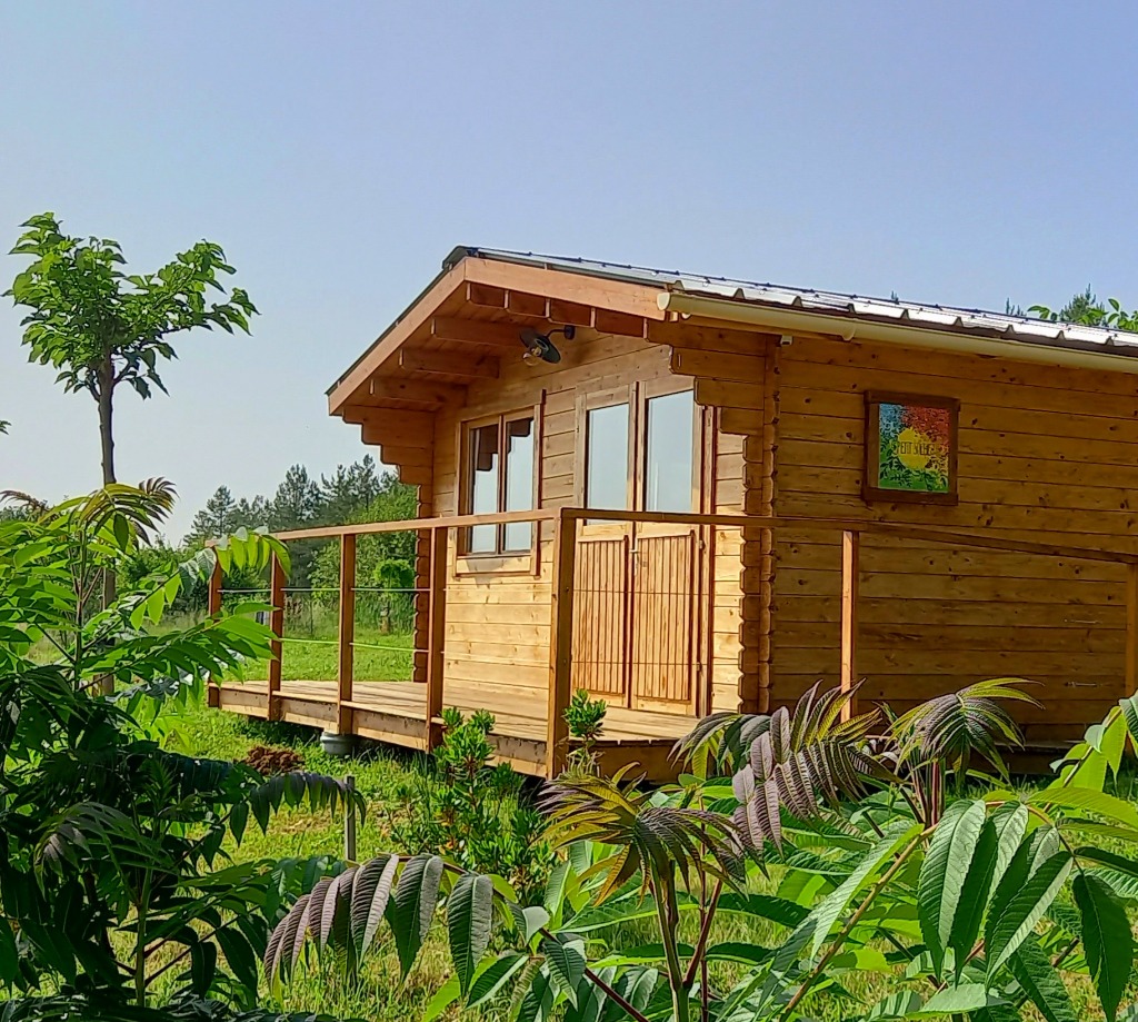 photo cabinet Laurence Saint-Martin Bruyère