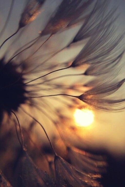 photo portrait Madmoiselka