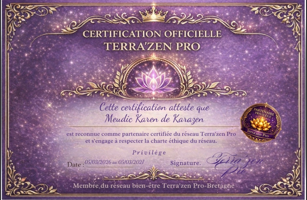 photo diplome Karazen