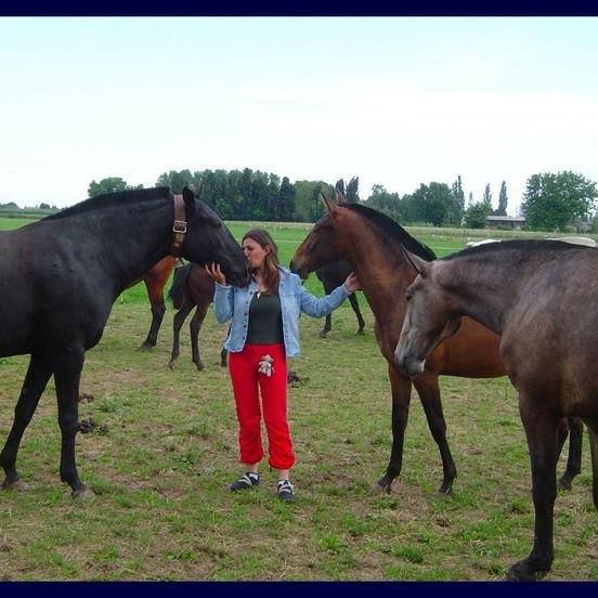 photo activite Forest Nathalie 