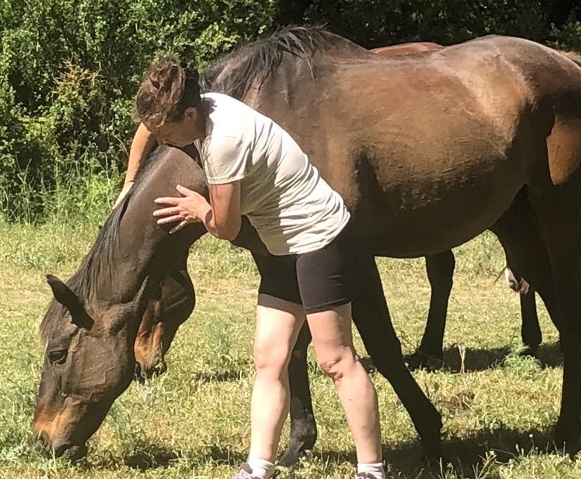 photo seance Forest Nathalie 