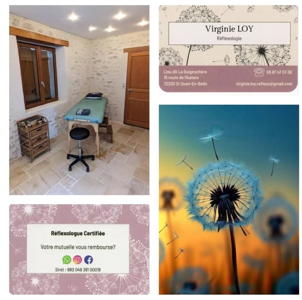 photo activite Virginie Loy