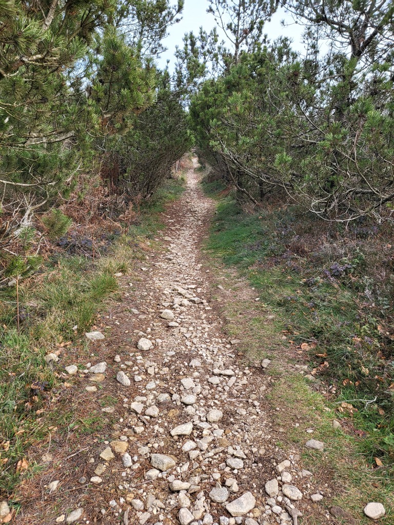 photo seance Jeff Mécanicien Guérisseur Quantique