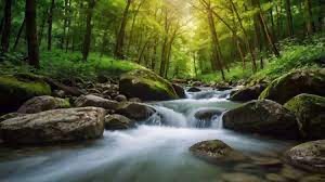 illustration Les émotions