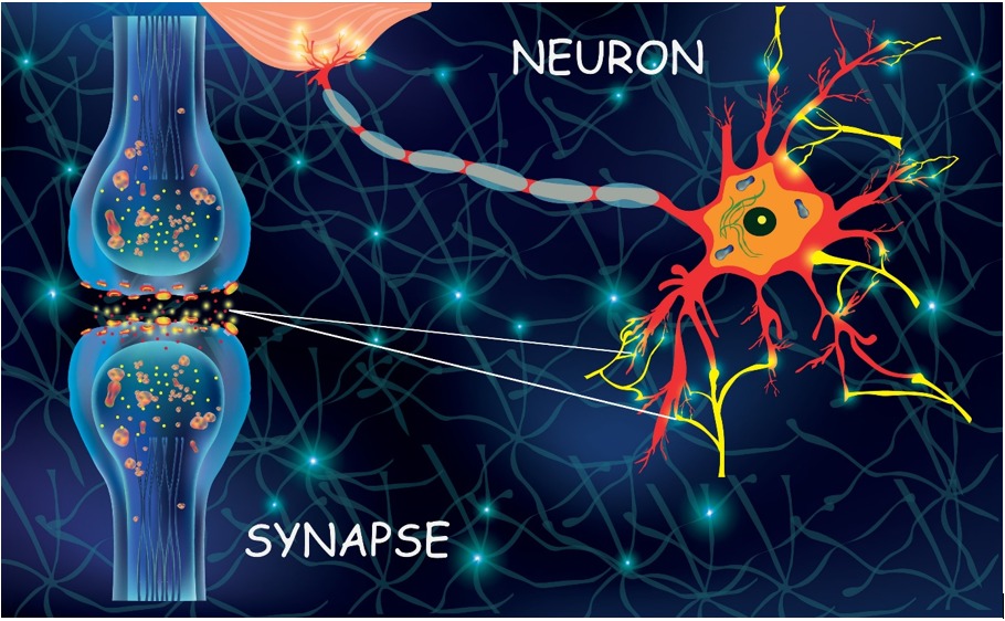 illustration Comprendre et Surmonter la dépression partie 2